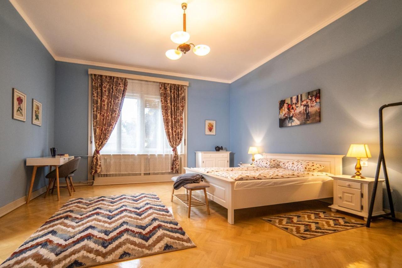 City House Timişoara Buitenkant foto