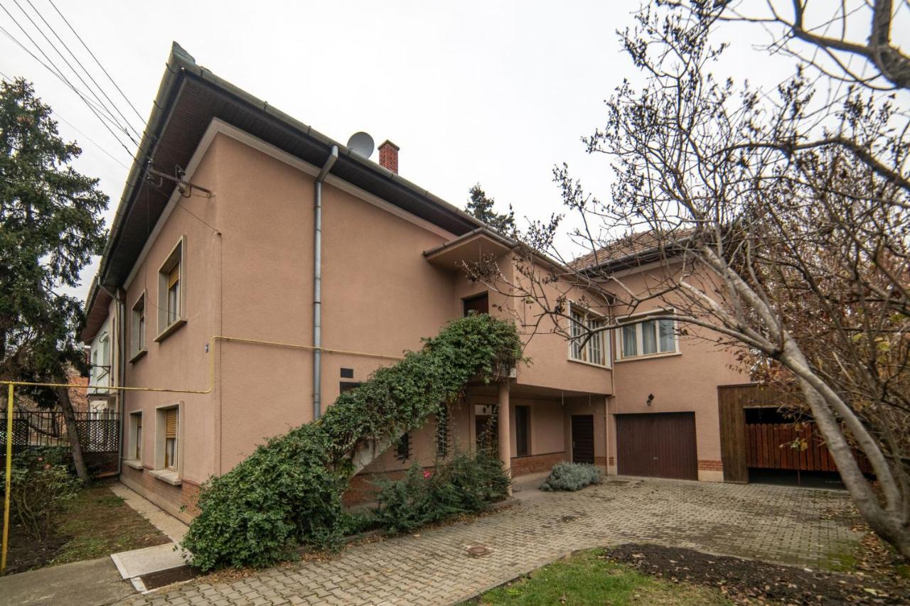 City House Timişoara Buitenkant foto
